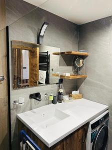 Kuchyň nebo kuchyňský kout v ubytování Hotel Ovruč apartmány Vadian