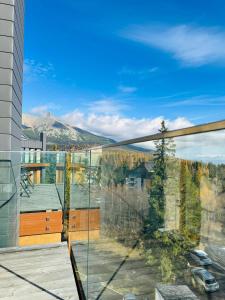 Příroda nedaleko apartmánu + 28 fotografií