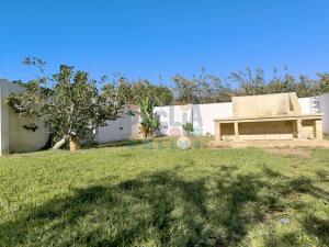 A garden outside Appartamento La Torre piano terra sul mare Puglia On line