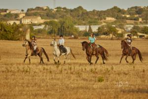 a group of people riding horses in a field at Ses Estaques in Manacor