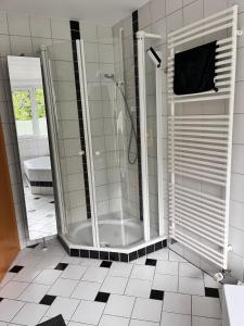 a bathroom with a shower and a sink at Ferienwohnung in Bingen Hohenzollern in Bingen