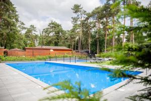 a swimming pool in a yard with trees at Chalet Woef op de Veluwe in Doornspijk