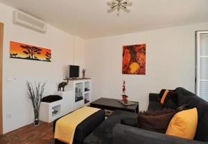 Televízia a/alebo spoločenská miestnosť v ubytovaní Apartments Martin