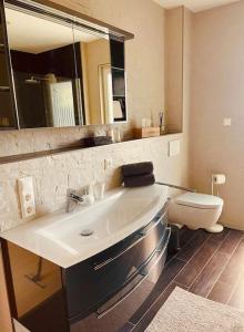 a bathroom with a sink and a toilet and a mirror at Ferienhaus Belvedere am Schluchsee in Schluchsee