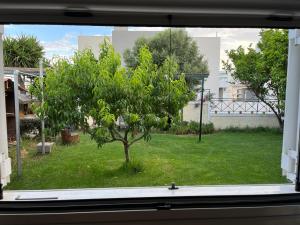 Zahrada ubytování Σπιτάκι στον κήπο