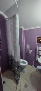 クルツィショアラにあるCasa Regineiのトイレとシャワーカーテン付きのバスルーム
