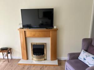 een woonkamer met een open haard en een tv. bij Daisy Cottage by NewFo rest in Lymington