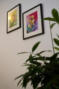 Fotografie z fotogalerie ubytování Alami Garden Hotel v destinaci Shah Alam