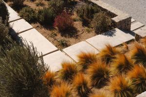 an overhead view of a garden with plants at Archon Seaside Retreat in Plaka