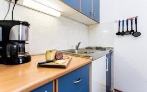 Kuchyňa alebo kuchynka v ubytovaní Apartments Zeljko B