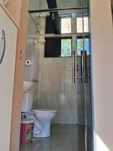 a bathroom with a toilet and a glass shower door at Chale2RabodeGalo in Santana do Riacho