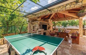Stolný tenis v ubytovaní Awesome Home In Nedescina With Kitchen alebo v jeho okolí