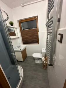 a bathroom with a toilet and a sink at Józka Chata max 15 os sauna jacuzzi in Porąbka +27 photos