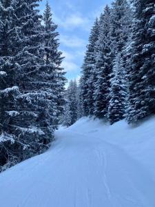 Manuela 7 by SMR Rauris Apartments - inc Spa and near Gondola v zime