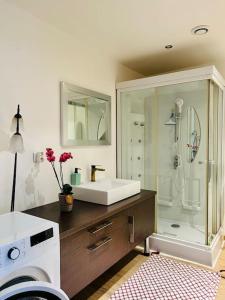 a bathroom with a sink and a shower at Charisma - 2 chambres Proche hypercentre in Pontarlier +12 photos