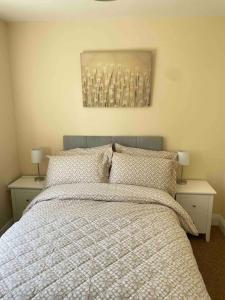 Billede fra billedgalleriet på Lakeview Cottage i Ballinamore + 8 billeder