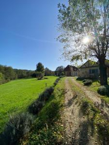 a dirt road in a field with a tree at Les gîtes de la Joubertie in Salon