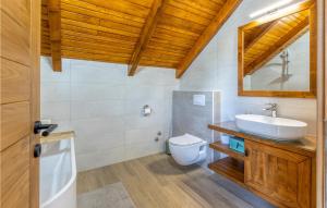 un bagno con lavandino e WC di 3 Bedroom Nice Home In Brusane a Brušane