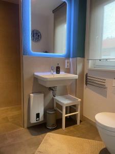 a bathroom with a sink and a mirror and a toilet at Frohes Wochenende 22 in Boltenhagen