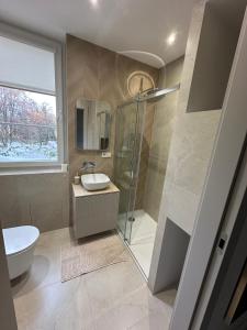 Kúpeľňa v ubytovaní Gdańskie Apartamenty - Apartment Premium in Old Town