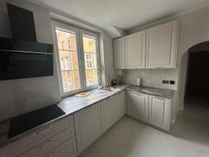 Kuchyňa alebo kuchynka v ubytovaní Gdańskie Apartamenty - Apartment Premium in Old Town