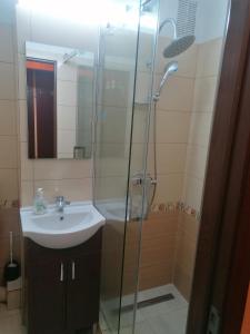 a bathroom with a shower and a sink and a shower at Dâmb 2 camere in Târgu-Mureş