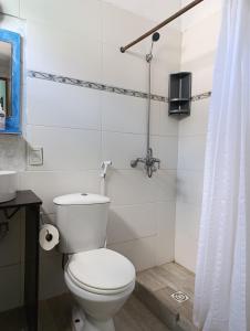 a bathroom with a toilet and a shower at Patio Urbano Suites & beds in Montevideo +31 photos