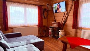 Televízia a/alebo spoločenská miestnosť v ubytovaní Domek góralski Toporówka