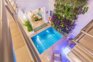 an overhead view of a swimming pool with plants at Casa La Cartujita in Cartagena de Indias