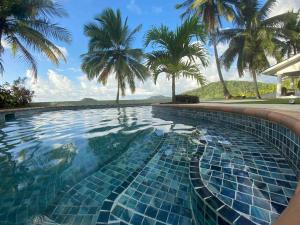 波托韦洛Entire Villa with pool in front of beach!的背景为棕榈树的游泳池