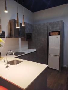 eine Küche mit Spüle und Kühlschrank in der Unterkunft LOFT LA Santander Centro in Santander + 8 Fotos