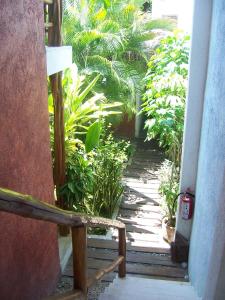 an entrance to a house with a bench and plants at Elements of the Island in Isla Mujeres