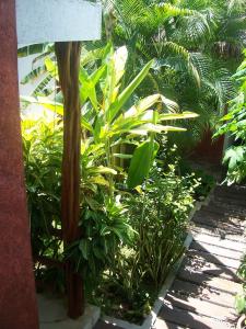 a garden with plants and a wooden pole at Elements of the Island in Isla Mujeres