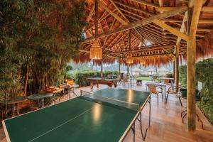 Stolní tenis v ubytování Hotel Pietrasanta nebo okolí