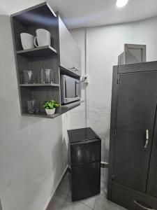 モンテレイにあるLoft C excelente ubicación y acogedor Semiequipadoのキッチン(黒いキャビネット、電子レンジ付)