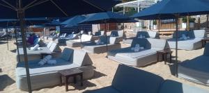 a group of chairs and umbrellas in the sand at Cabo bay in Cabo San Lucas