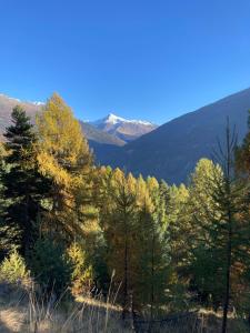 Paesaggio naturale nelle vicinanze dell'appartamento