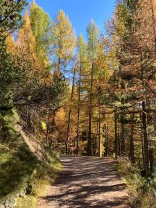 Paesaggio naturale nelle vicinanze dell'appartamento
