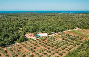 z góry widok na dom z drzewami w obiekcie Lovely Home In Rovinj w Rovinj +37 zdjęć