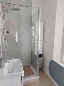 a bathroom with a shower and a sink and a toilet at La Maisonnée in Marolles
