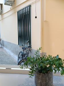 a bike parked next to a window with a plant at Tatiana's Town Studio in Corfu