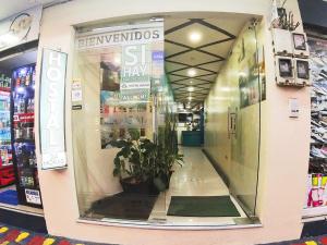 a store window with a potted plant in a store at Hostal Dugan in Baños
