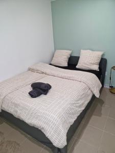 a bed with two pillows on top of it at l'échappée verte in Le Mée-sur-Seine +10 photos