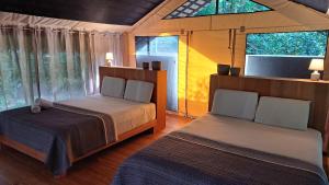 a bedroom with two beds and a window at Four Monkeys Eco Lodge - Jungle & Beach in Cabo Matapalo