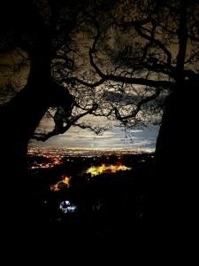 NaranjoにあるCasa del Arbol Feel Goodの夜の木と街のシルエット