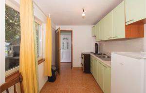 Kuchyň nebo kuchyňský kout v ubytování Holiday Home Borova Bb