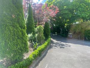 a garden with trees and bushes and a road at The Avenues Hideaway in Tauranga