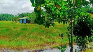 Gallery image of ARA Place - Boossa - Private Villa in Boossa