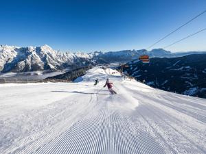 Skifahren in der Ferienwohnung oder in der Nähe