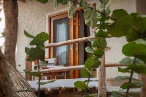 Zahrada ubytování Mawimbi Boutique Hotel